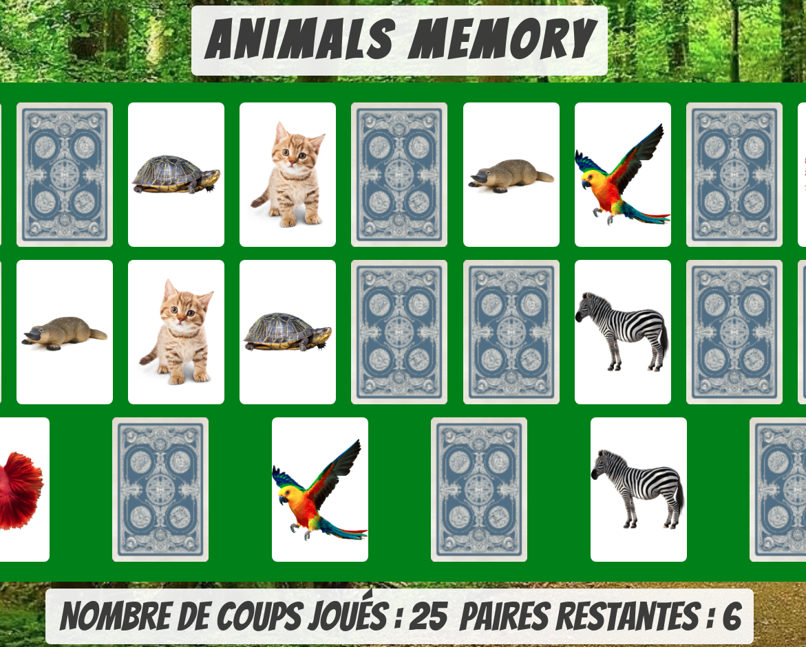 image du jeu memory